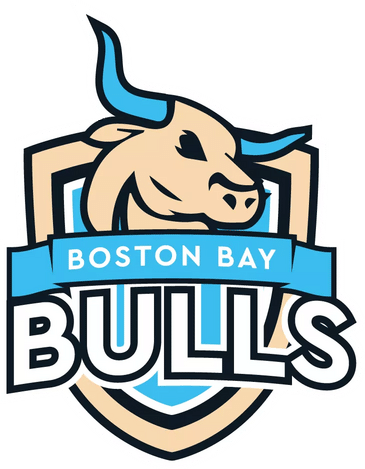 Boston Bay Bulls logo